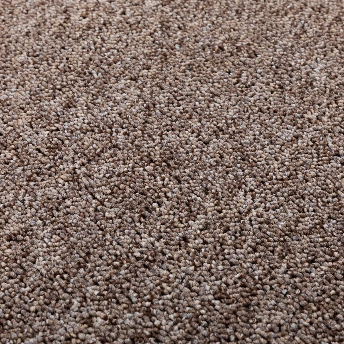 Steffensmeier Schlingen Teppichboden Meddon XL Meterware | Auslegware für Flur Büro | 1m 2m 3m 4m 5m breit! | Sand, Größe: 300x500 cm