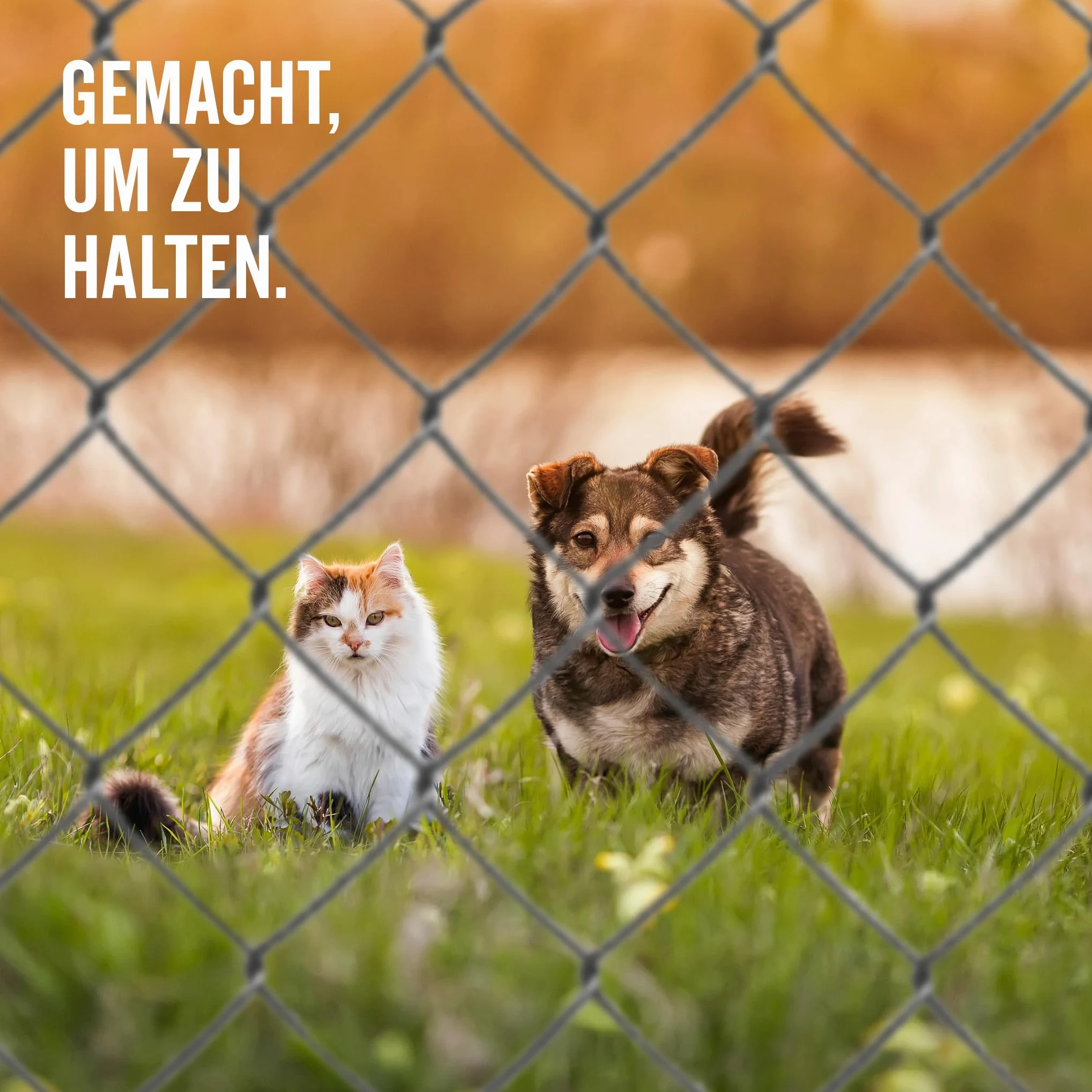 Alberts 604660 Maschendrahtgeflecht | Maschendrahtzaun, Hundezaun, Gartenzaun, Hasendraht | Höhe: 150 cm, Länge: 15 m, Draht-Ø 2,6 mm | Anthrazit