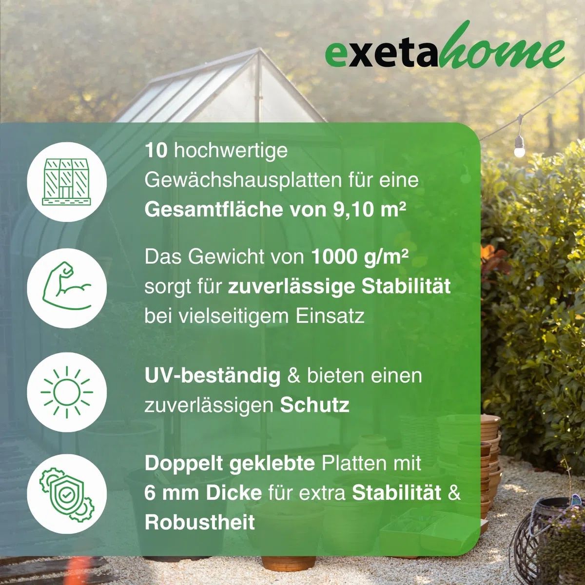 10x Gewächshausplatten 6mm I Polycarbonat Hohlkammerplatten für Gewächshäuser I PC Doppelstegplatten UV-beständig & bruchsicher I für Garten, Frühbeet uvm I 60,5cm x 150cm I Transparent