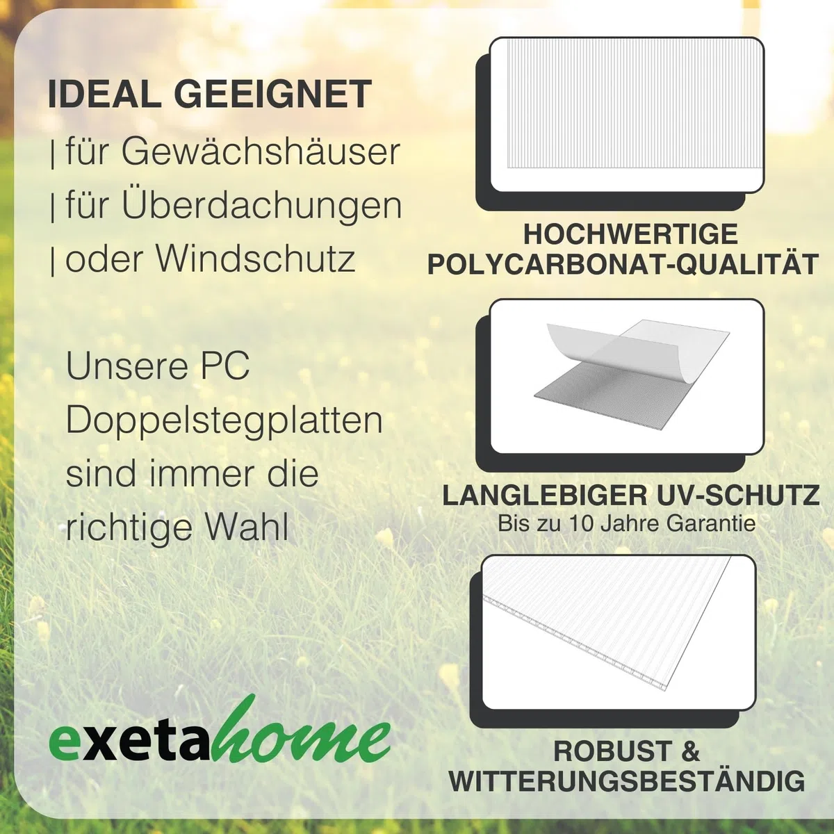 10x Gewächshausplatten 6mm I Polycarbonat Hohlkammerplatten für Gewächshäuser I PC Doppelstegplatten UV-beständig & bruchsicher I für Garten, Frühbeet uvm I 60,5cm x 150cm I Transparent