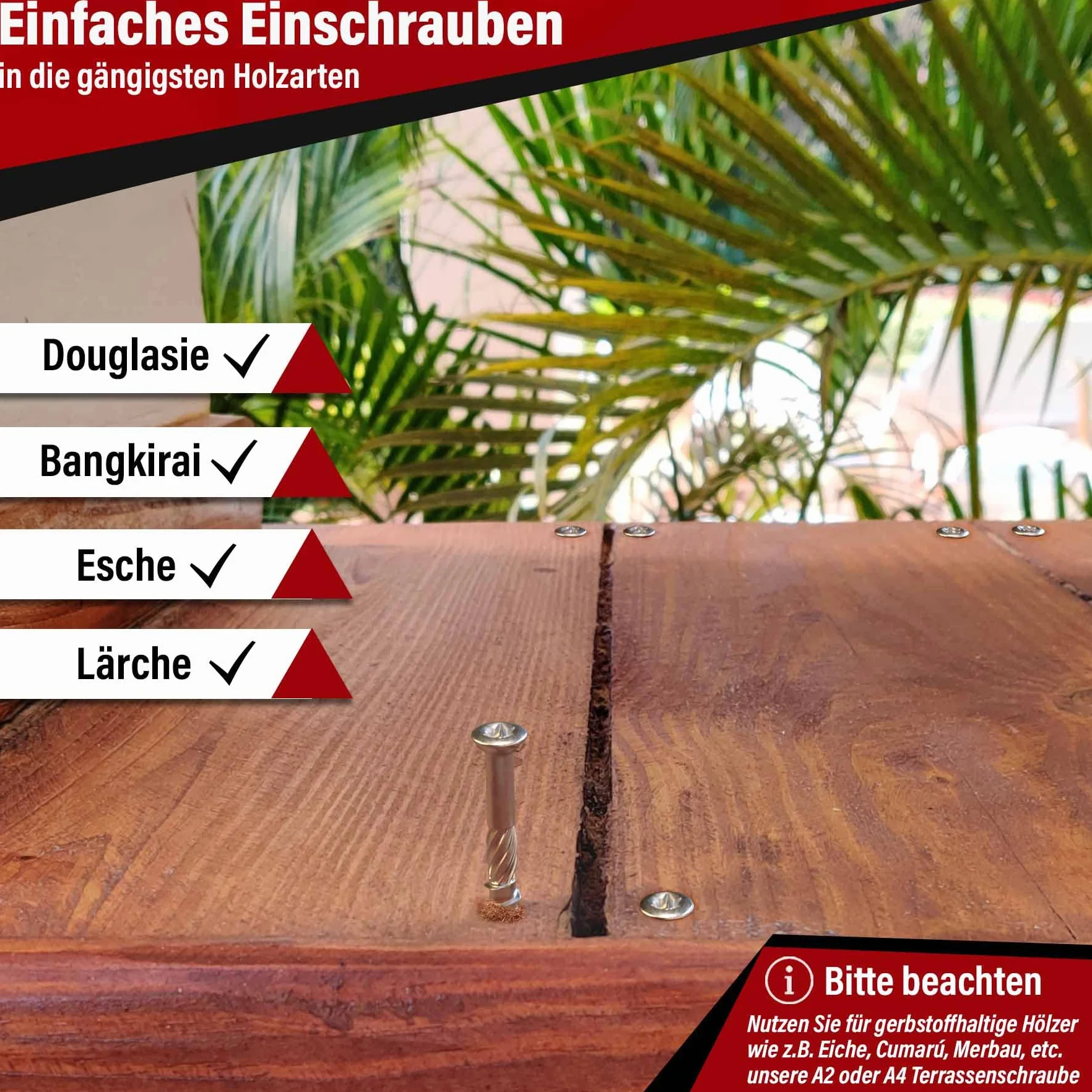 SCREW REBEL Terrassenschrauben 5 x 60 T-INOX 500 Stück Edelstahl gehärtet C1, Torx 25, inkl. Edelstahl Bit