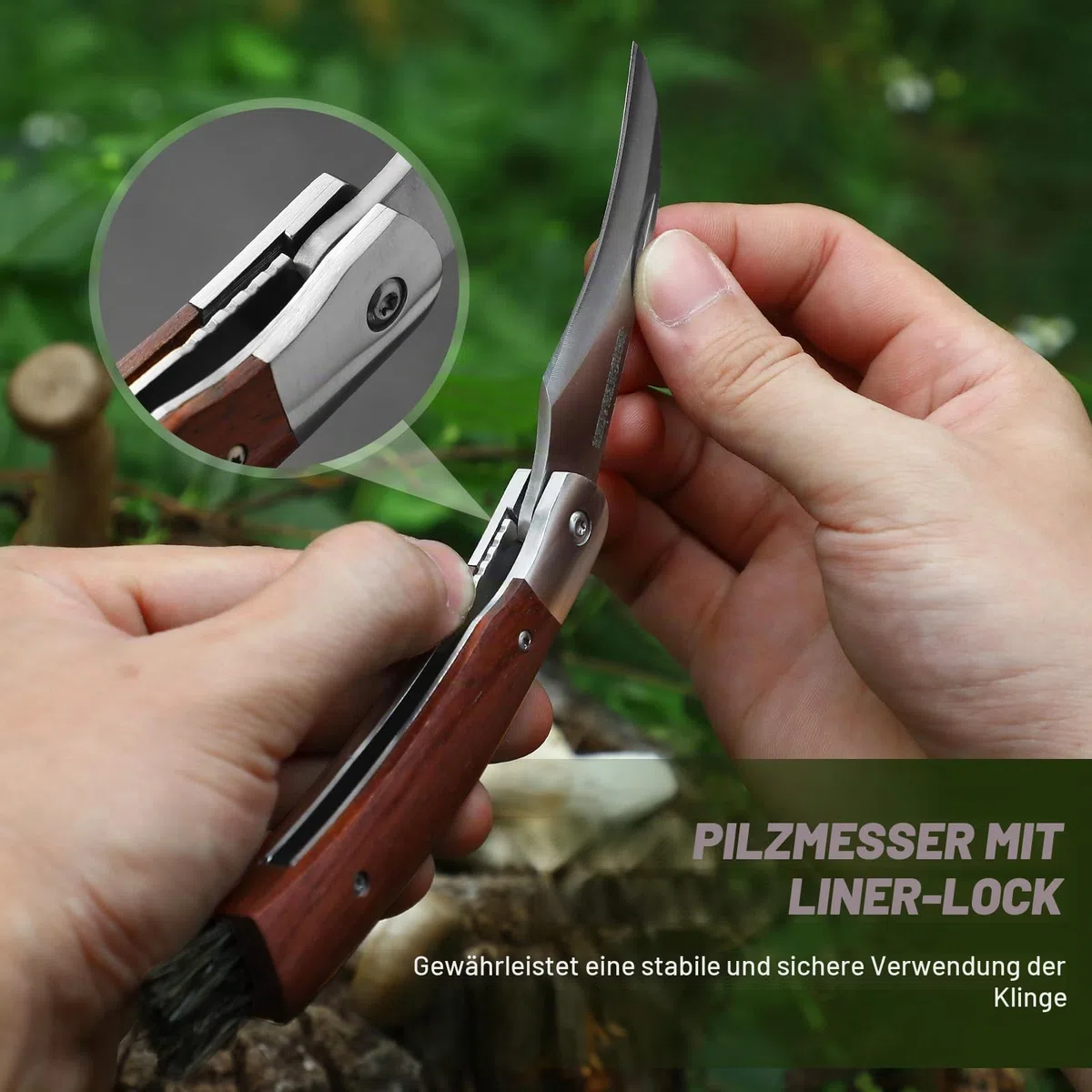 DRACHENADER Pilzmesser & Pilzkorb, Schwammerlmesser mit Bürste/Pinsel (Integriert), Liner Lock, §42a konform, Atmungsaktive, Faltbare Pilztasche mit Netz, Verstellbarem Schultergurt