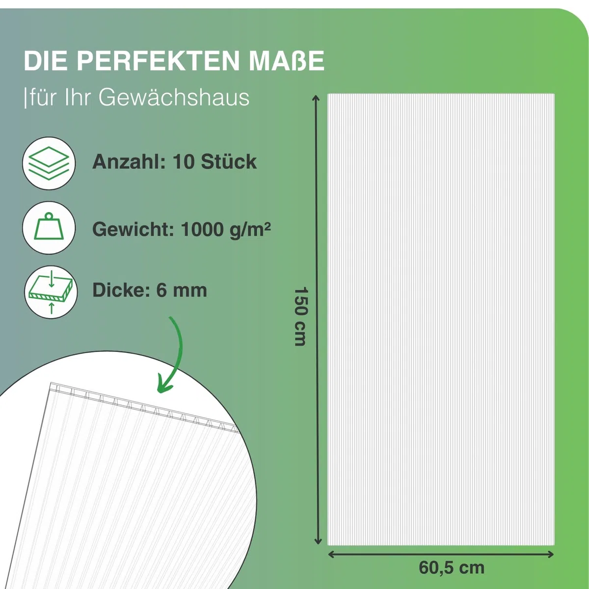 10x Gewächshausplatten 6mm I Polycarbonat Hohlkammerplatten für Gewächshäuser I PC Doppelstegplatten UV-beständig & bruchsicher I für Garten, Frühbeet uvm I 60,5cm x 150cm I Transparent